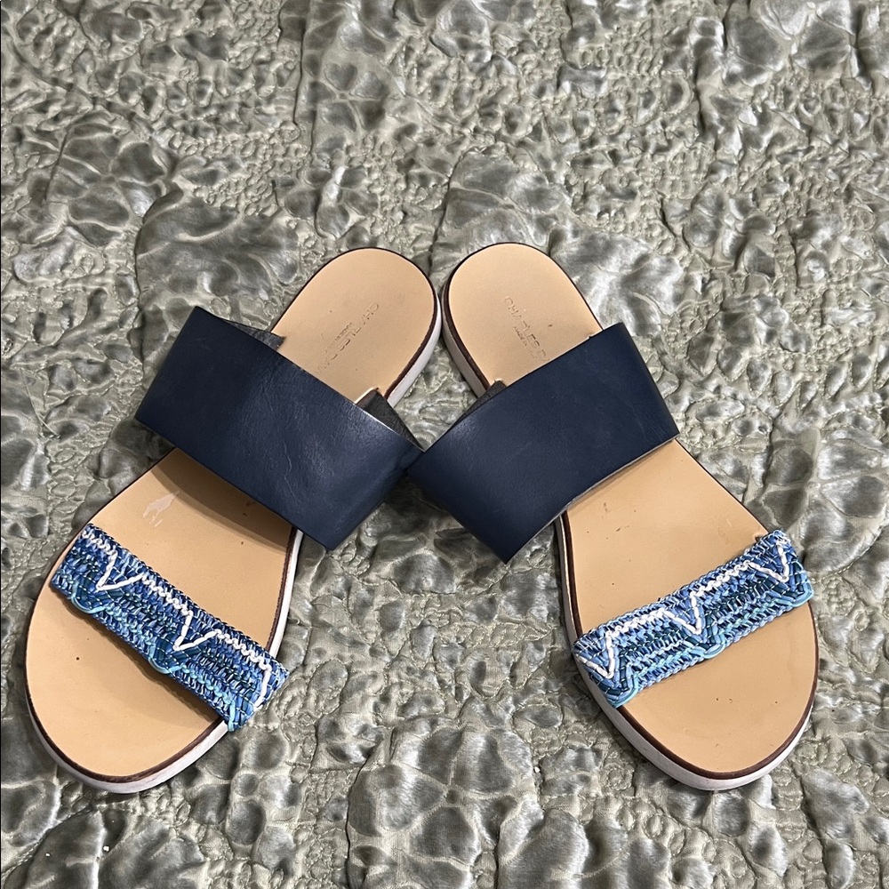 Charles David Navy and Blue Patterned Sandals